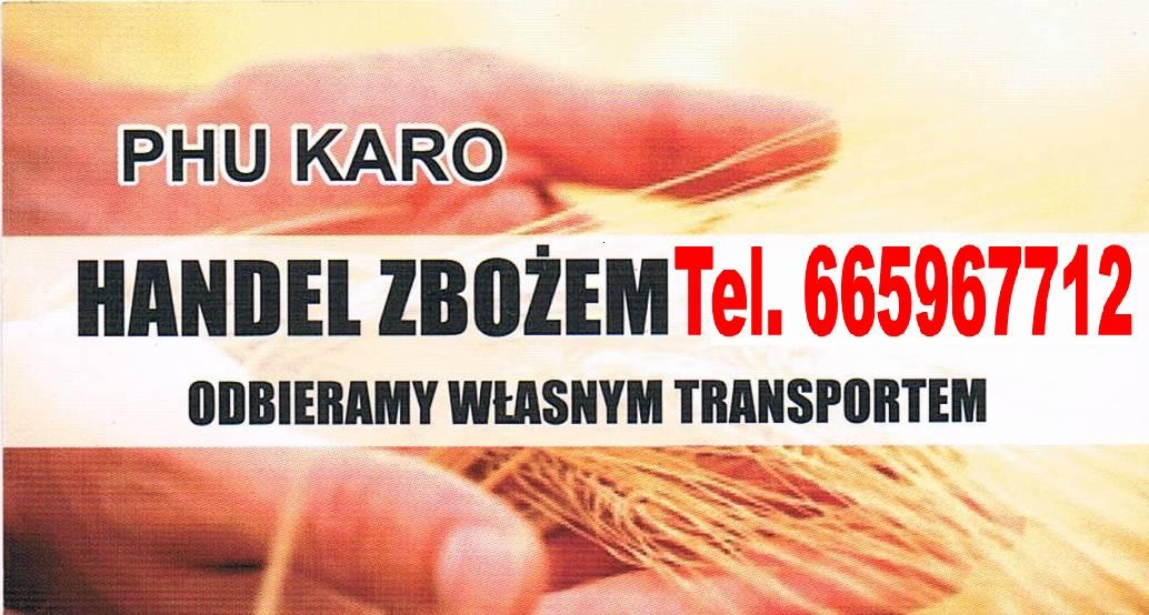 zyto i pszenice