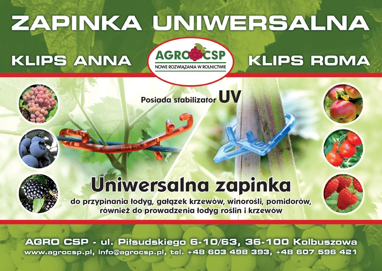 Klipsy-Zapinki do winorosli, malin, jezyn, jagod