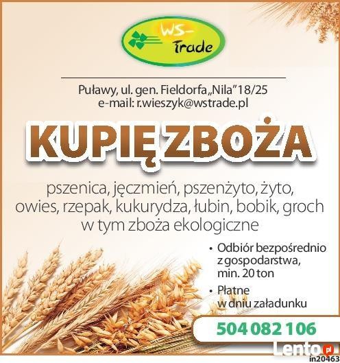 kupię pszenice- skup pszenicy  