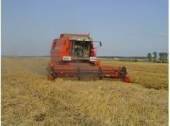 Sprzedam kombajn zbożowy Massey Ferguson 38 — zdjęcie 3