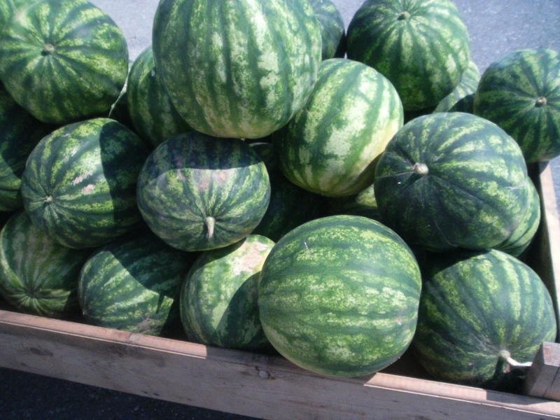 Sprzedam - Arbuz CRIMSON 0,29 EUR/kg — zdjęcie 1