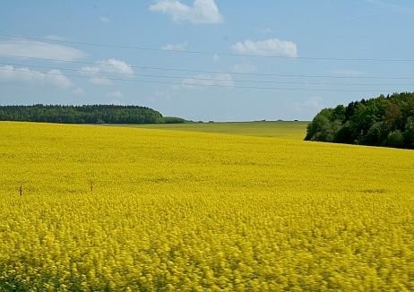 SPRZEDAM ZIEMIĘ ROLNĄ NA MAZURACH 31,72 ha
