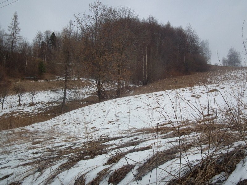 GOSPODARSTWO ROLNE W GÓRACH 1,66 ha, powiat N.SĄCZ — zdjęcie 4