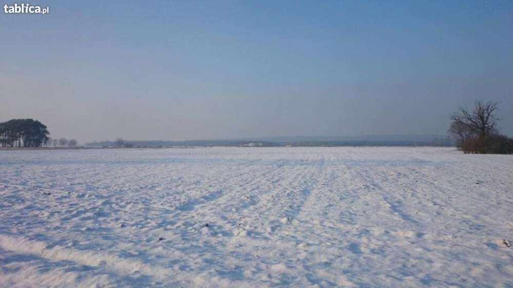 Ziemia Orna 80 HA Blisko GPZ FOTOWOLTAIKA