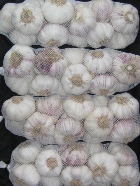 czosnek w siatkach 1 kg — zdjęcie 5