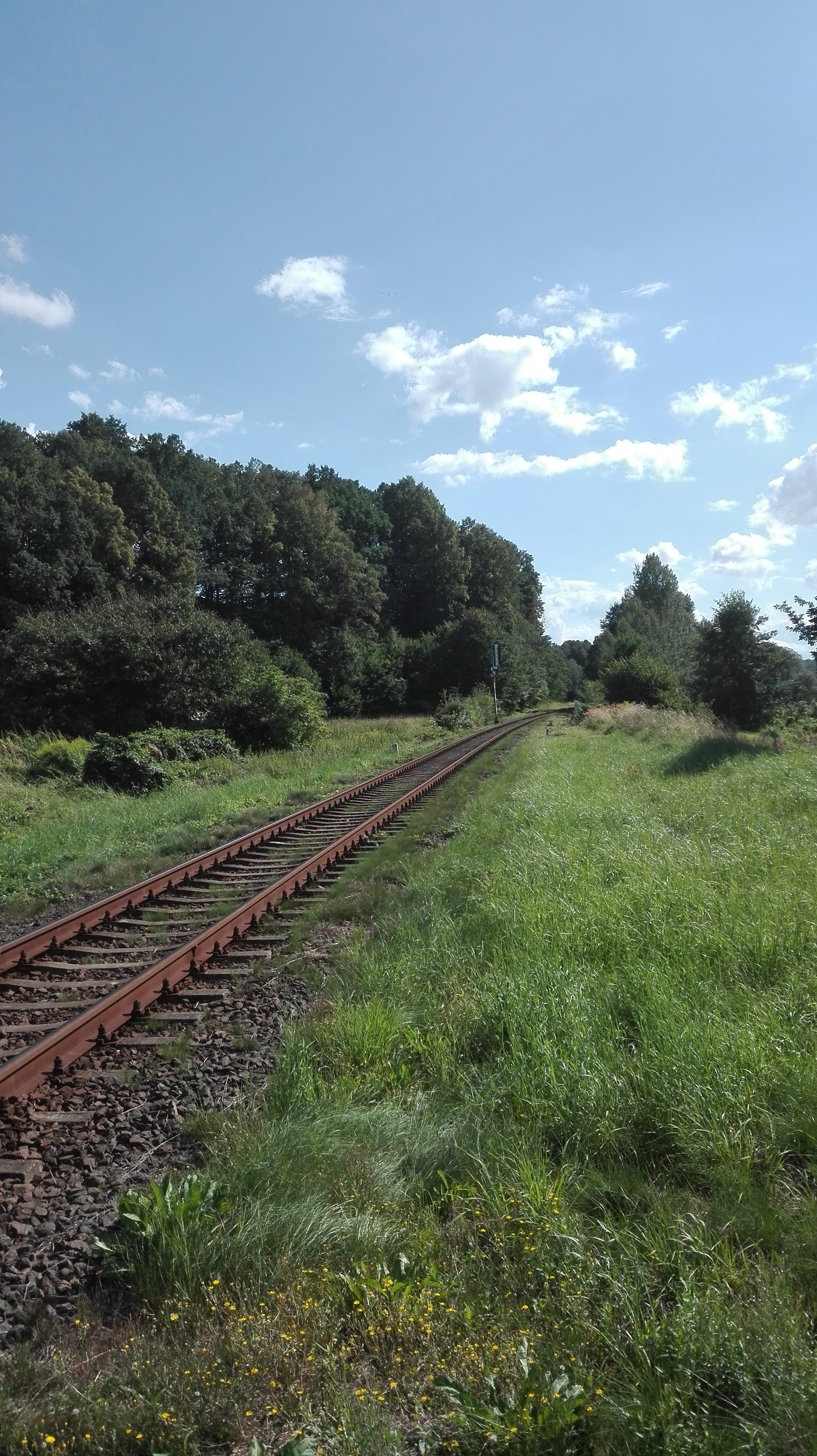 Gospodarstwo rolne — zdjęcie 7
