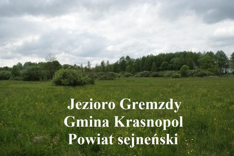 (35) Działka z linią brzegową jeziora Gremzdy — zdjęcie 4