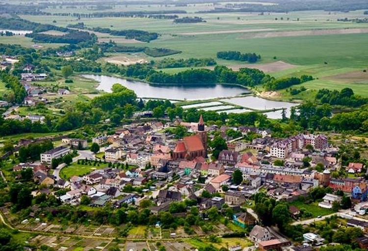 karp , karp handlowy — zdjęcie 3