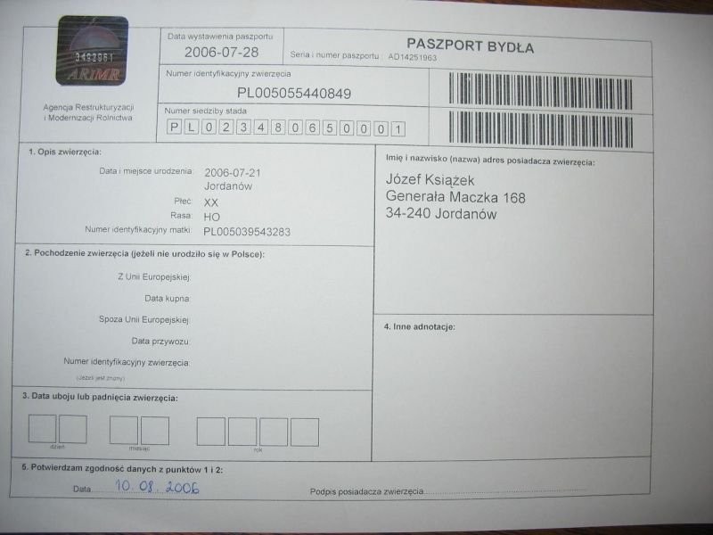 Sprzedam jałówke hodowlaną — zdjęcie 4