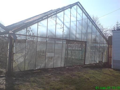 Szklarnia do rozbiórki 480 m2 — zdjęcie 3