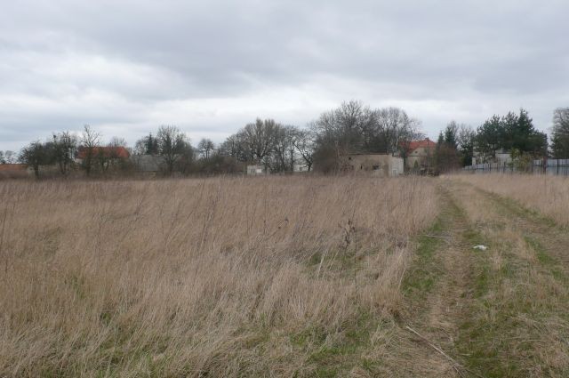 DZIAŁKA BUDOWLANA ,5300 m2 -Sobota , gmina Rokietnica  — zdjęcie 4