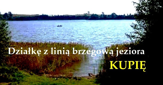 Działkę z linią brzegową jeziora kupię