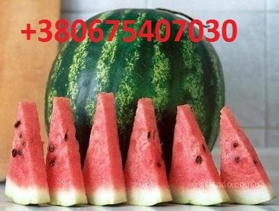 Sprzedam arbuzu ukraiński (Cherson) +380675407030
