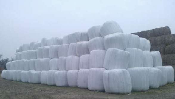Sianokiszonka - folia AGROPLAST 500 mm. — zdjęcie 4