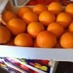 Pomarańcze-Hurt-Sprzedaż — zdjęcie 2