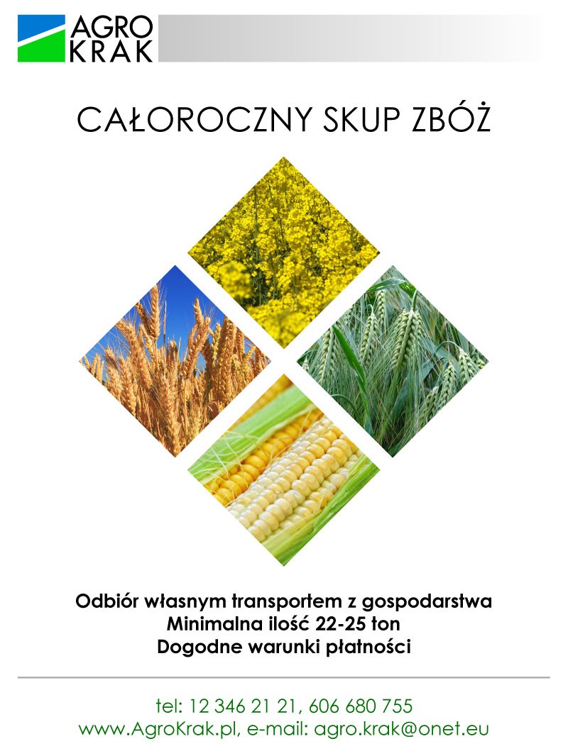 Całoroczny Skup Zbóż 