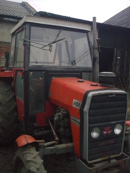 Massey Ferguson MF-255 — zdjęcie 2