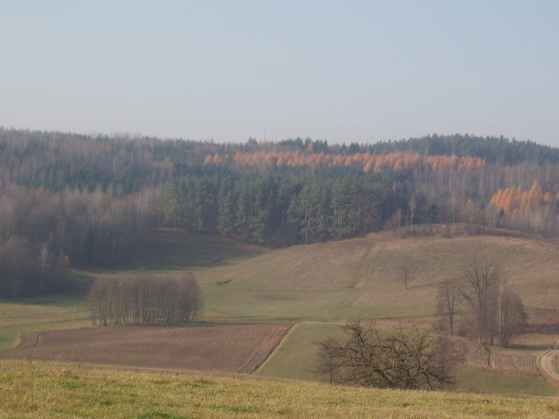 siedlisko z widokiem na lasy.