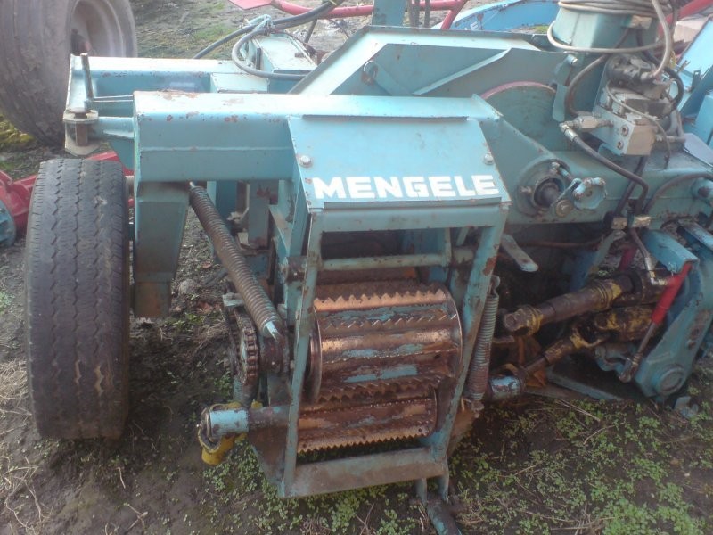 MENGELA DURZEDOWA tel. 609984497 — zdjęcie 3