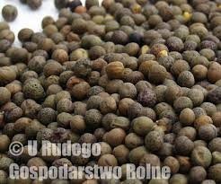 Kupie każdą ilość Soji — zdjęcie 3