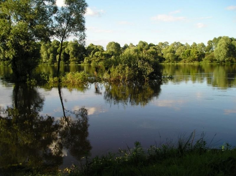 UkrainaWydzierzawieStaw rybny,35ha+torfowiska,30ha — zdjęcie 4
