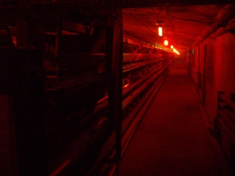 Two chicken farms for sale — zdjęcie 6