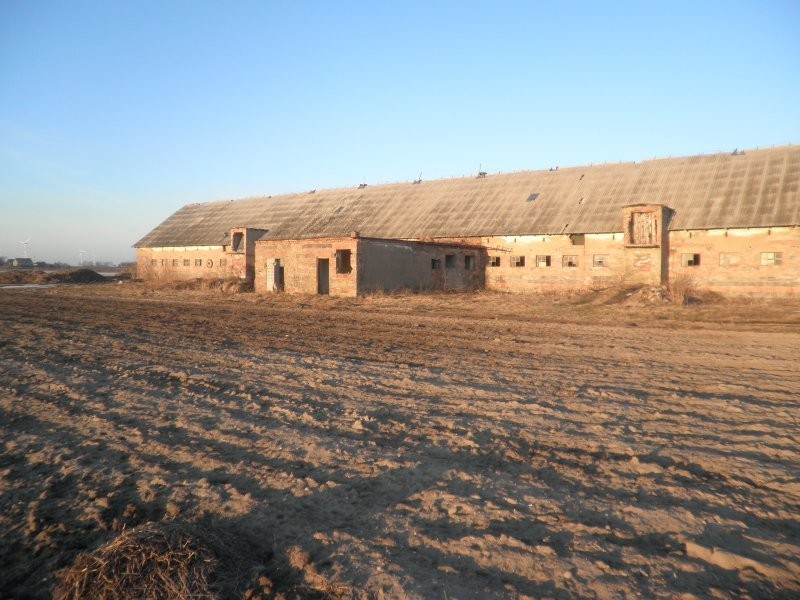 SPRZEDAM CHLEWNIE 1100M2 — zdjęcie 6
