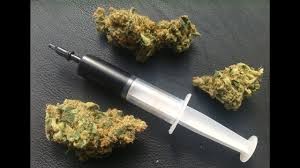 DOBRE MEDYCZNE marihuana / chwasty, olej konopny, oleje Hash na sprzed — zdjęcie 1
