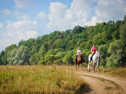 Ukraina.Sloma zytnia,owsiana,rzepakowa,lniana.SianoSurowcy 70 zl/tona 