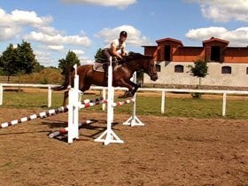 jazda konna- nauka i sport- JAZDY PRÓBNE BEZPŁATNE — zdjęcie 4