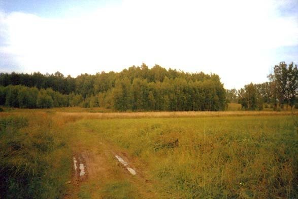 sprzedam działkę — zdjęcie 3