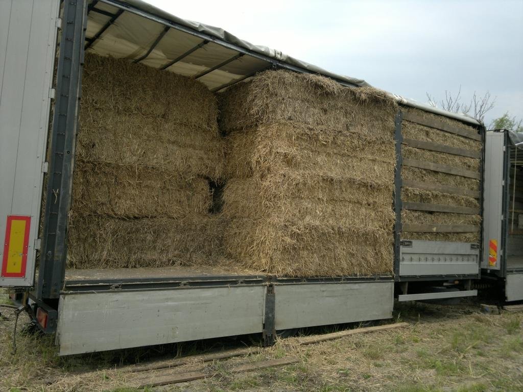 SŁOMA 1000 ton DUŻA KOSTKA