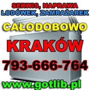 Naprawa Lodówek i zamrażarek Kraków Tel. 793-666-7