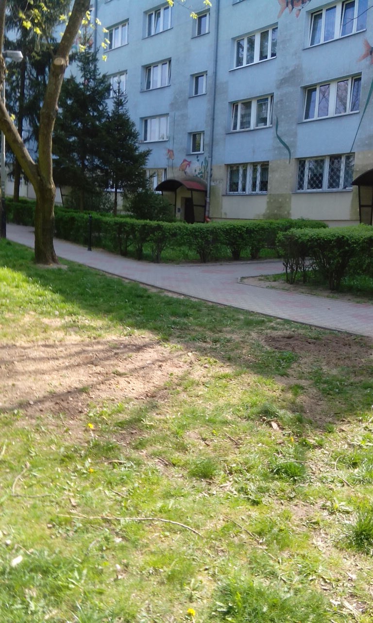 Karczowanie pni, karpy, wyrywanie, Wycinanie Drzew F-Vat — zdjęcie 4