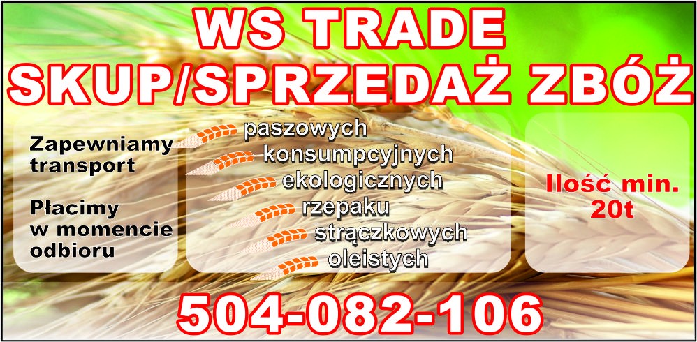 kupię owies- skup owsa