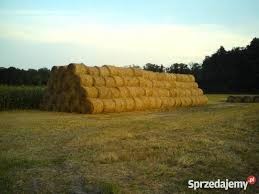 Sprzedam slome z dowozem