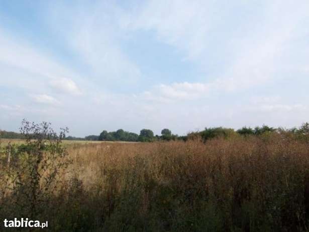 działka 3600m2 z zabudowaniami gospodarczymi — zdjęcie 2
