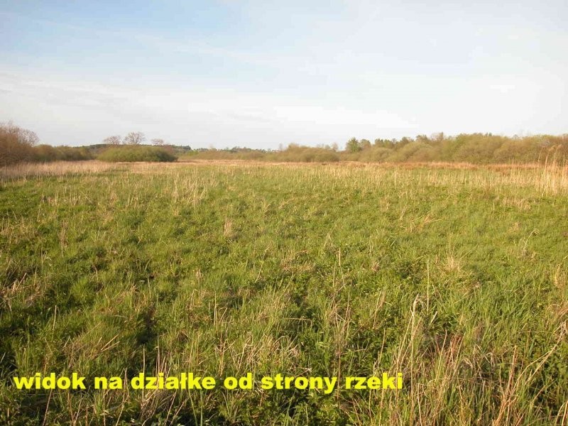 oddam ziemie w dzierzawe 14 ha — zdjęcie 1