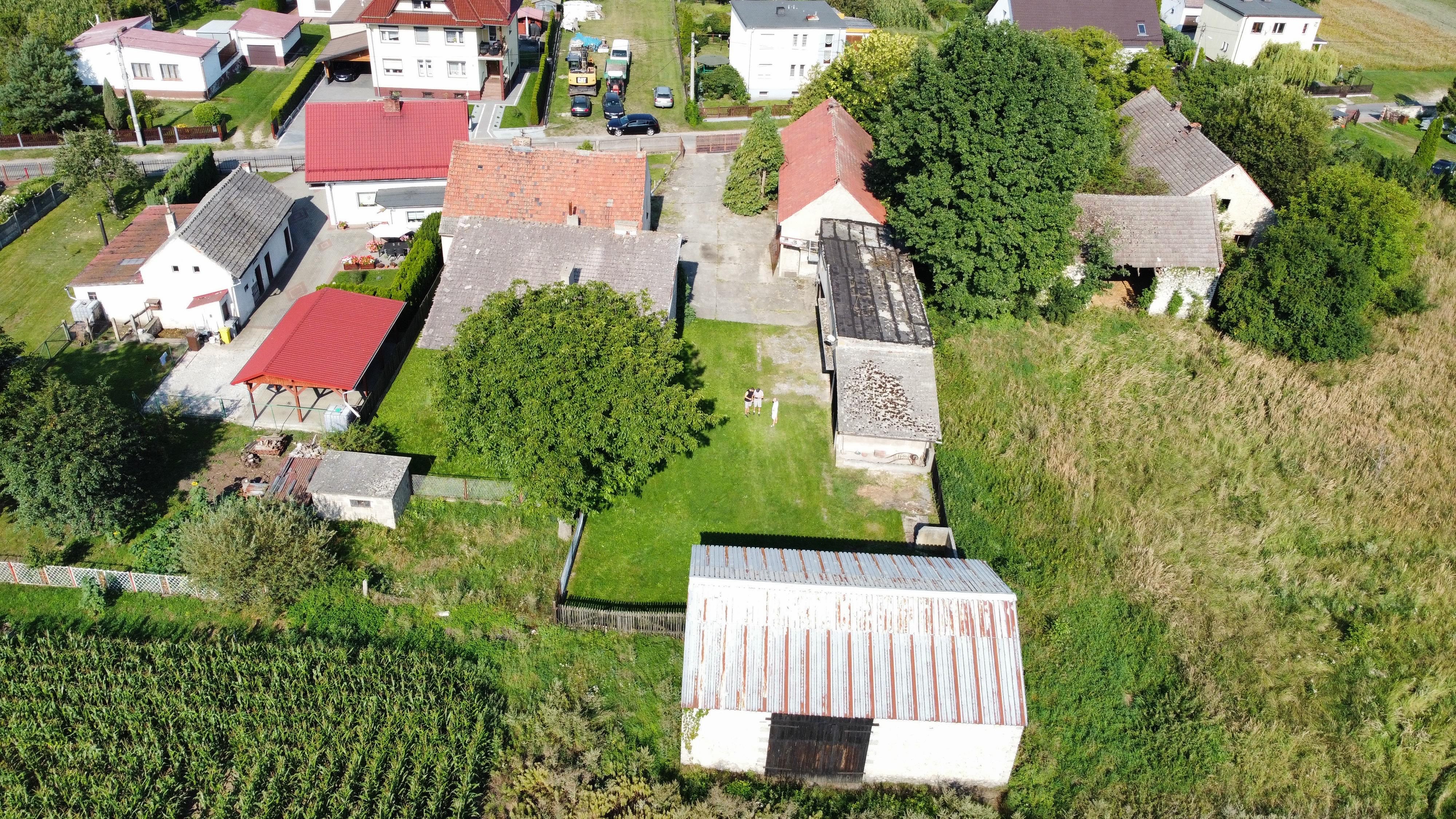 Na sprzedaż gospodarstwo rolne z zabudowaniami – ok. 4 ha – Poznowice, — zdjęcie 3