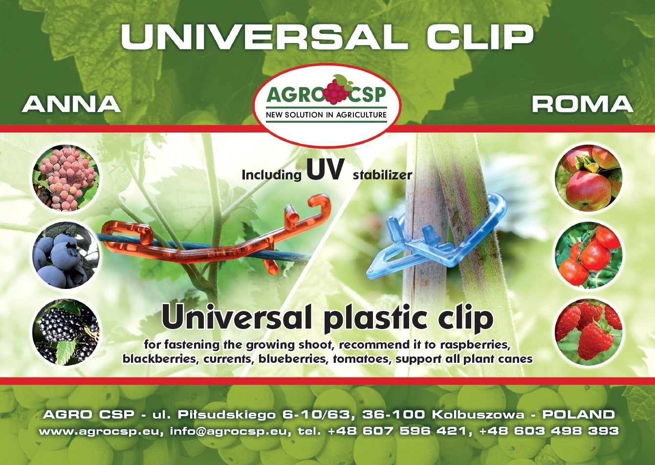Clips for hold canes- Raspberries, blueberries, blackberries, 