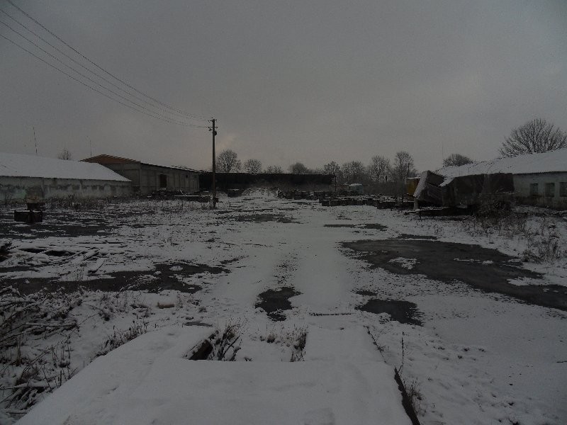 gospodarstwo sadownicze 800ha sady jabłonne — zdjęcie 5