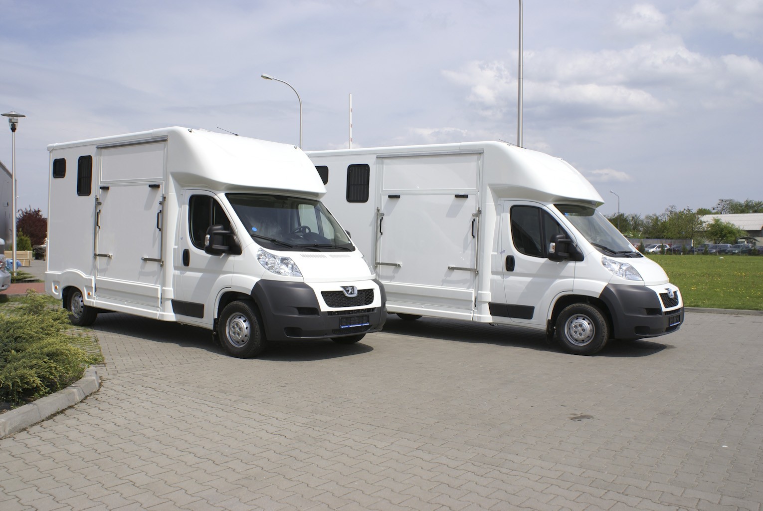 {-----Profesjonalny transport koni------} Perzów,783959864 — zdjęcie 1
