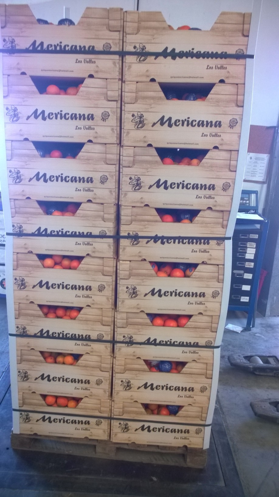 Pomarańcze- import - szukamy partnera handlowego — zdjęcie 3