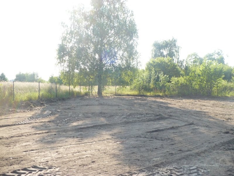 SCINKA DRZEW, KARCZOWANIE TERENU POD BUDOWE, — zdjęcie 5