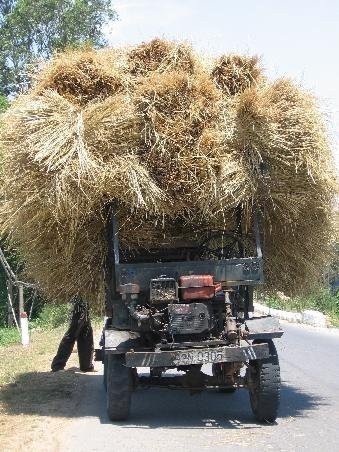TIR siana/slomy