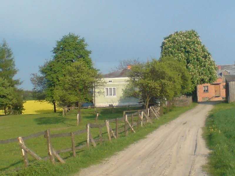 GOSPODARSTWO ROLNE 14ha+zabudowania — zdjęcie 2