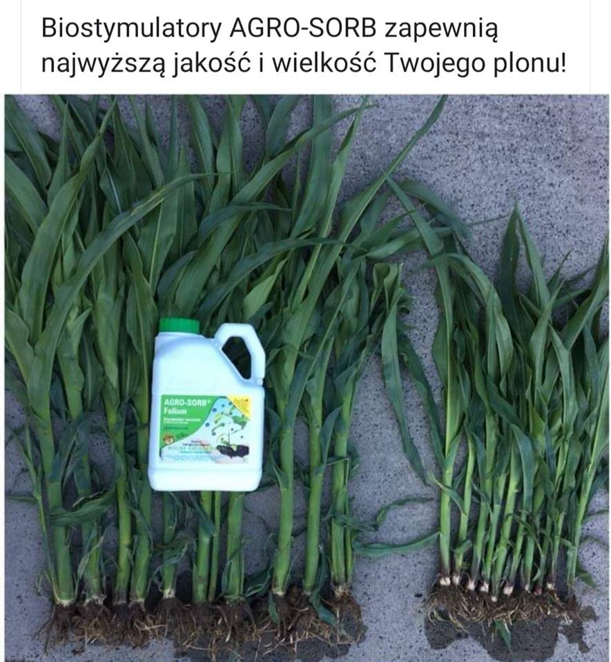 Polskie Aminokwasy, Biostymulator Agro-Sorb Folium  — zdjęcie 4