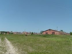 UkrainaOrganizacja nowych gospodarstw rolnychTanio — zdjęcie 6
