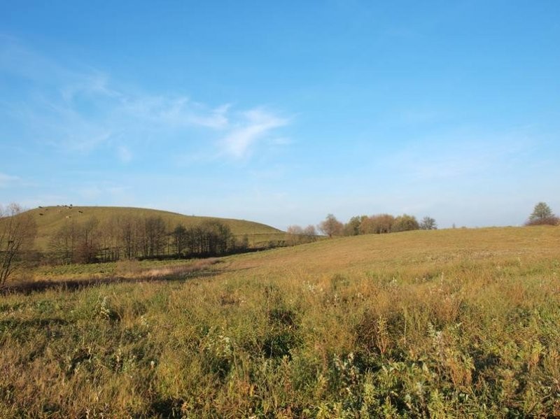 Ziemia na Mazurach, 7,35 ha III i IV klasy — zdjęcie 1
