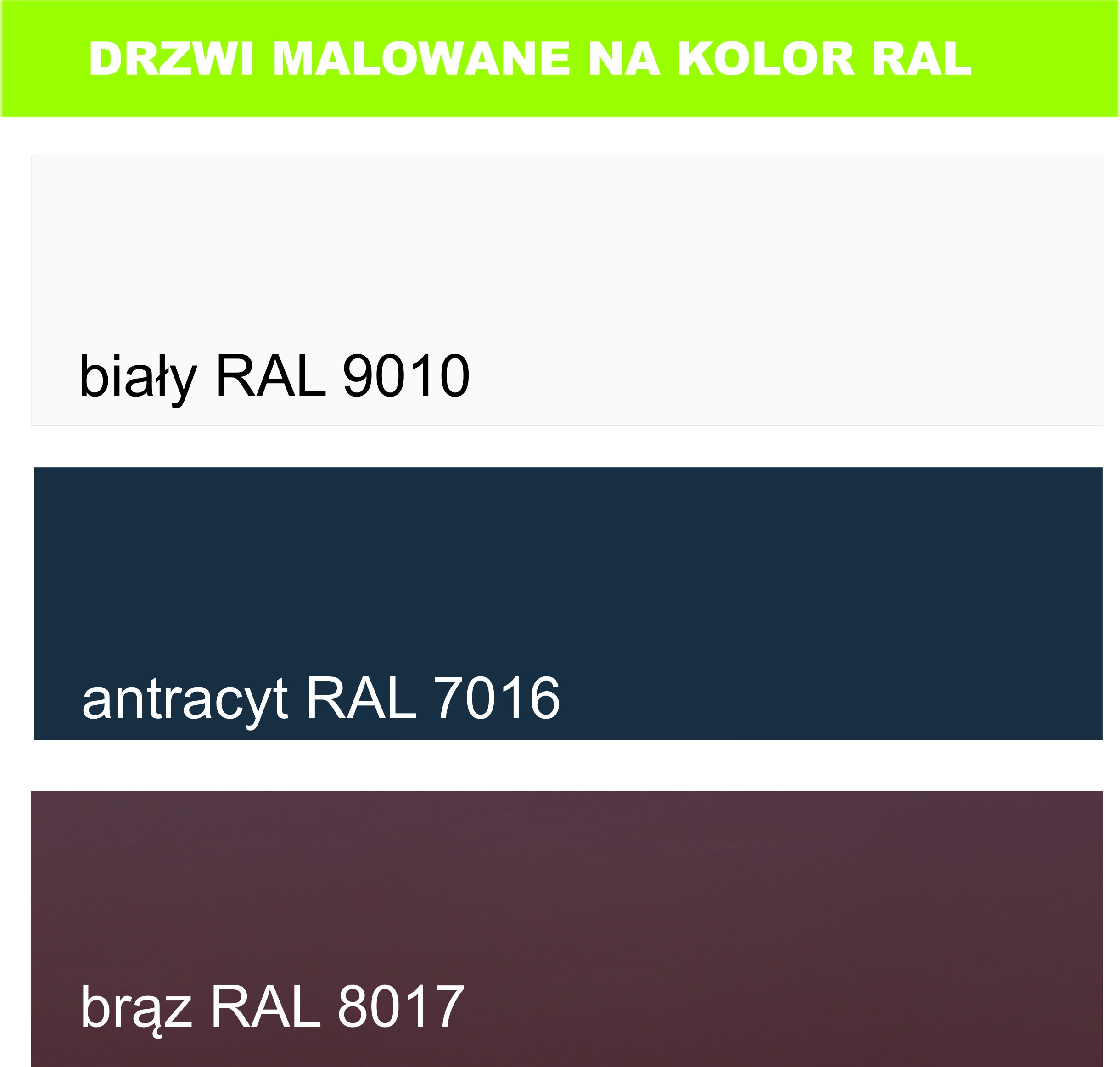 polskie drzwi inwentarskie gospodarcze techniczne  — zdjęcie 6